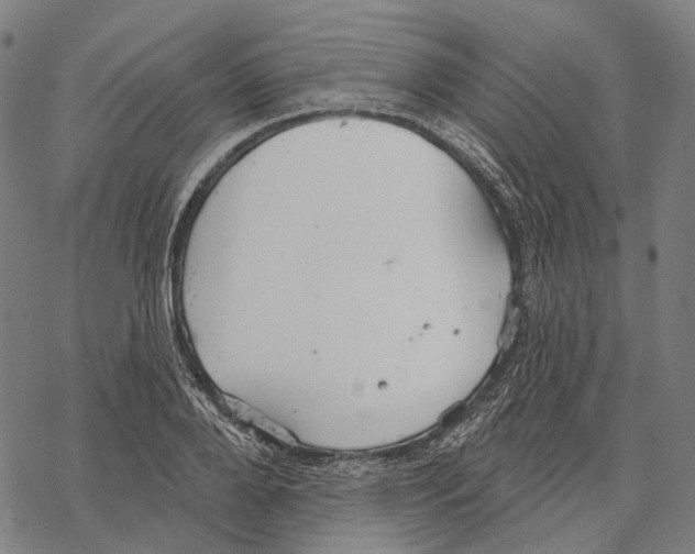 X0000067470888200605051644