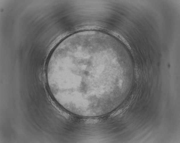 X0000067470890200605051644