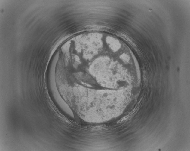 X0000067470891200605051644