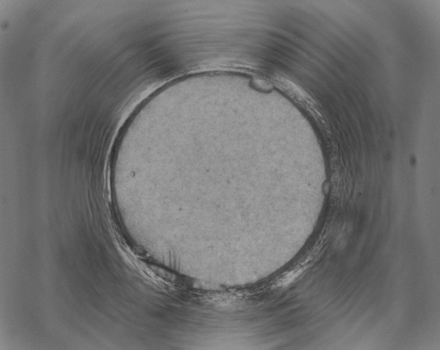 X0000067470892200605051644