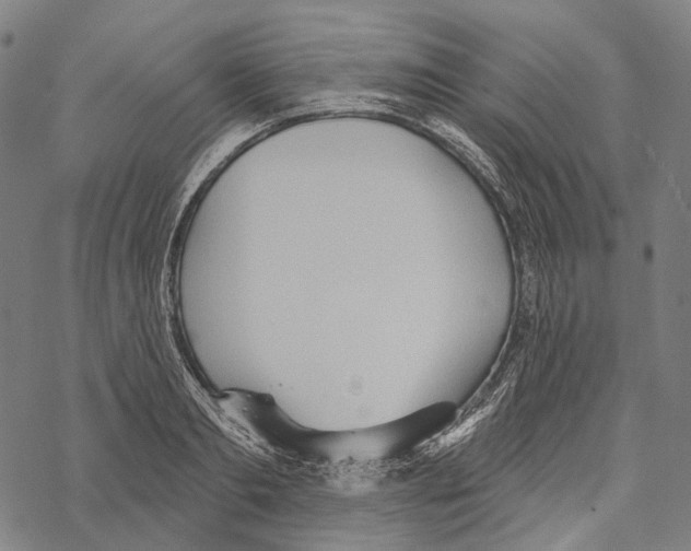 X0000067470893200605051644