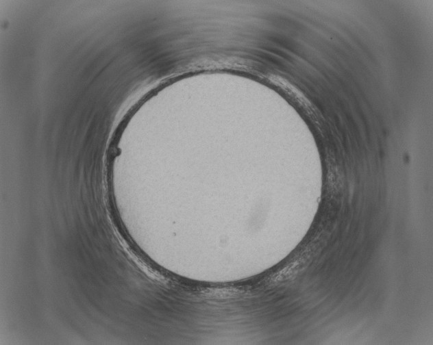 X0000067470894200605051644