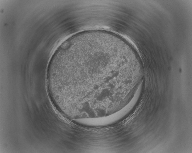 X0000067470895200605051644