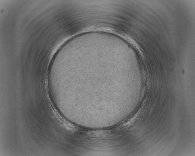 X0000067470896200605051644