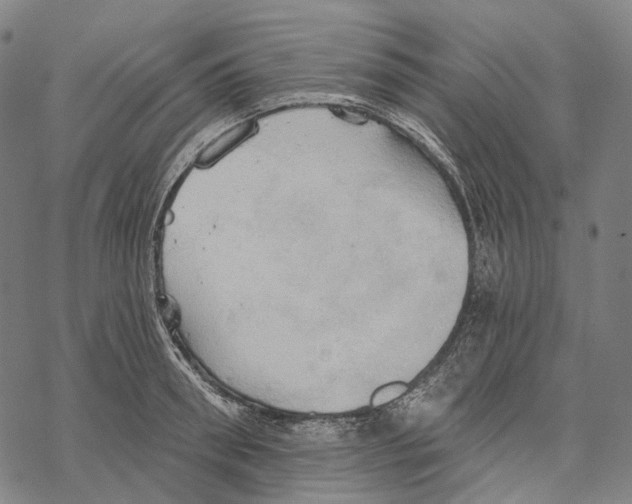 X0000067470898200605051644