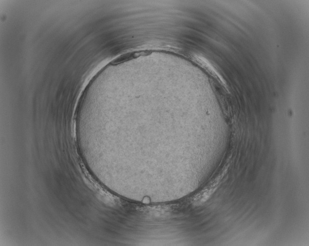 X0000067470900200605051644