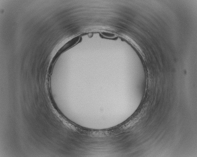 X0000067470901200605051644