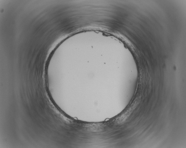 X0000067470902200605051644