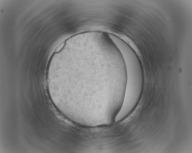 X0000067470904200605051644