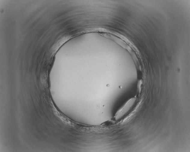 X0000067470905200605051644