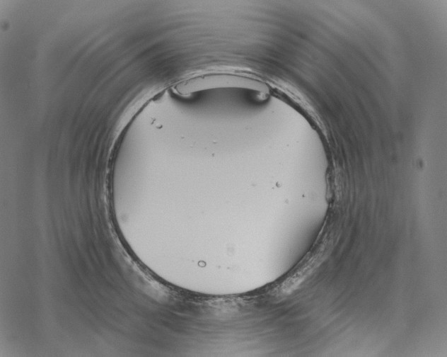 X0000067470906200605051644