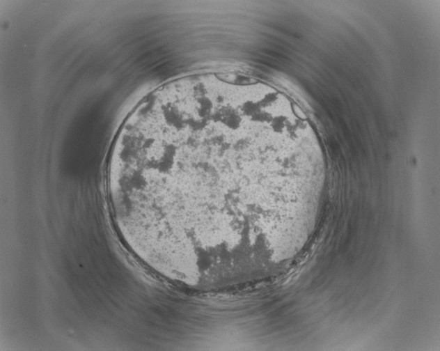 X0000067470907200605051644