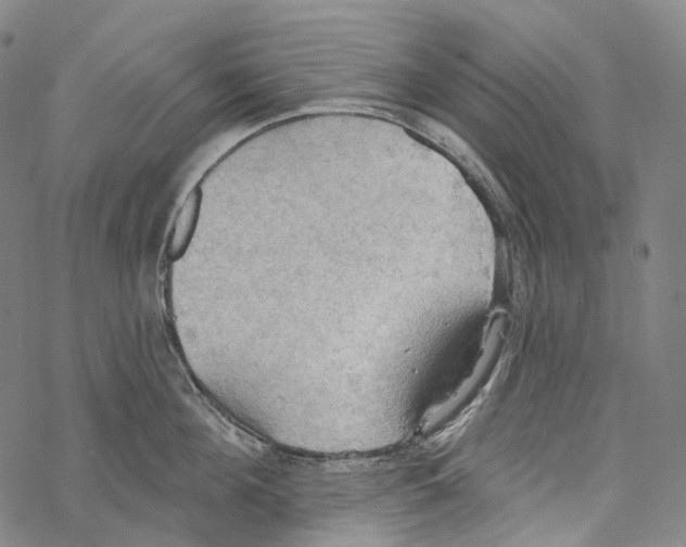 X0000067470908200605051644