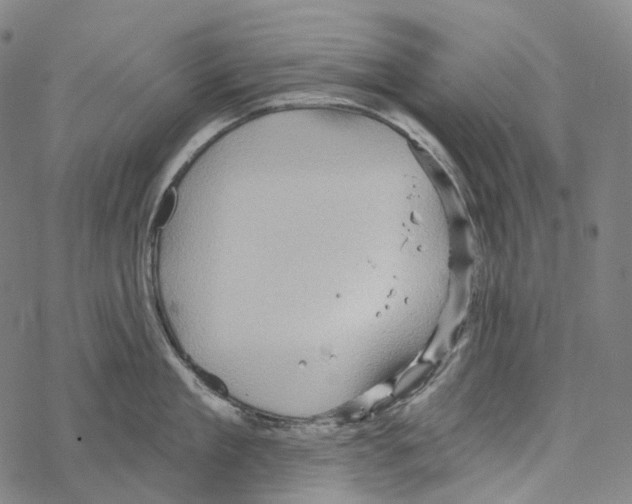 X0000067470909200605051644