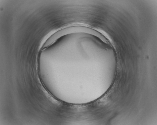 X0000067470910200605051644