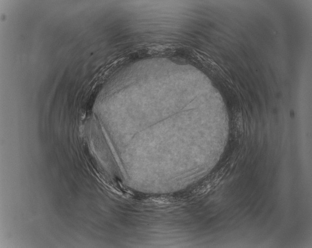 X0000067470914200605051643