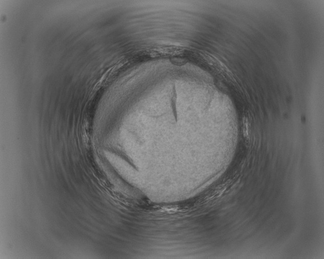 X0000067470915200605051643