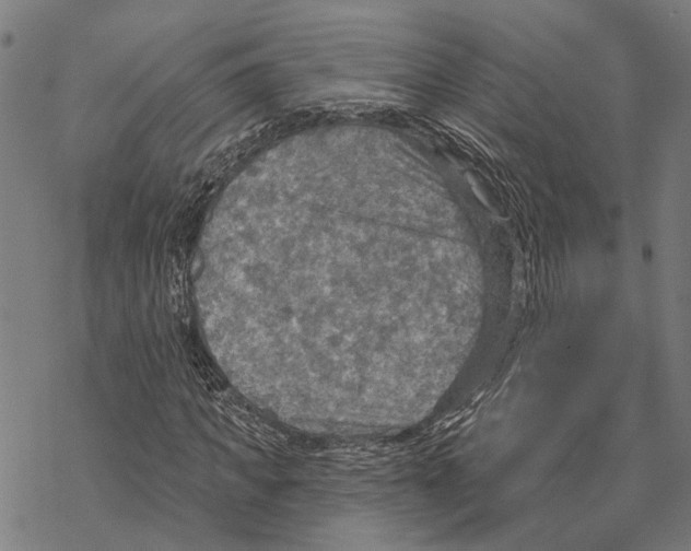 X0000067470917200605051643