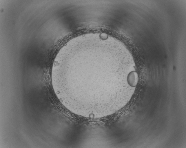 X0000067470918200605051643