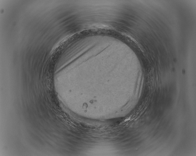 X0000067470919200605051643