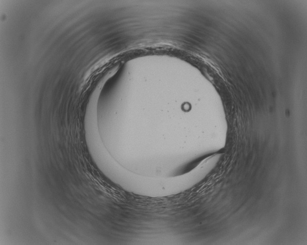 X0000067470920200605051643