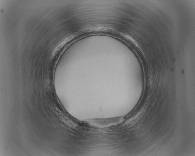 X0000067470922200605051643