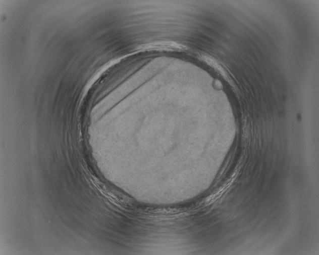 X0000067470923200605051643