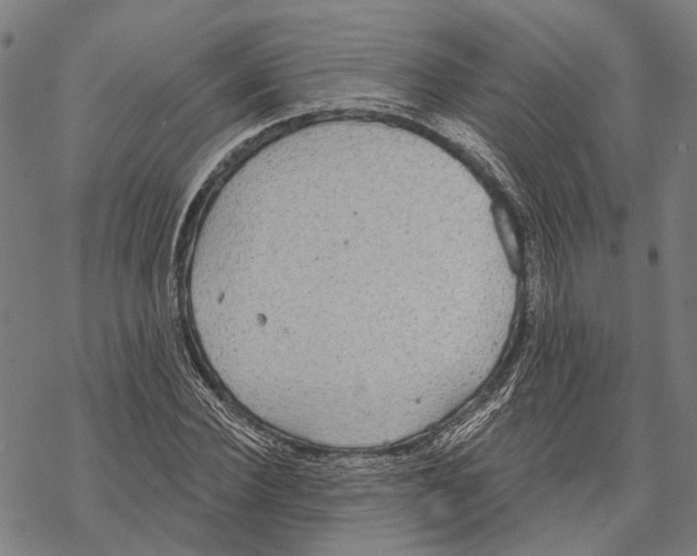 X0000067470924200605051643