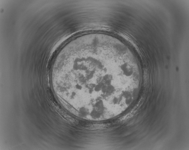 X0000067470925200605051643