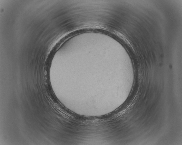 X0000067470926200605051643