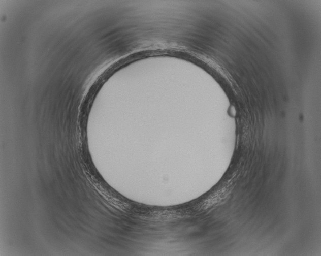 X0000067470927200605051643