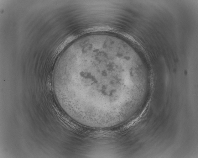 X0000067470929200605051643