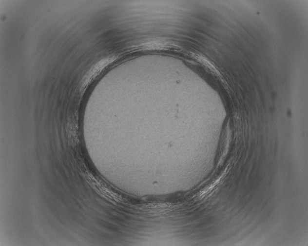 X0000067470930200605051643