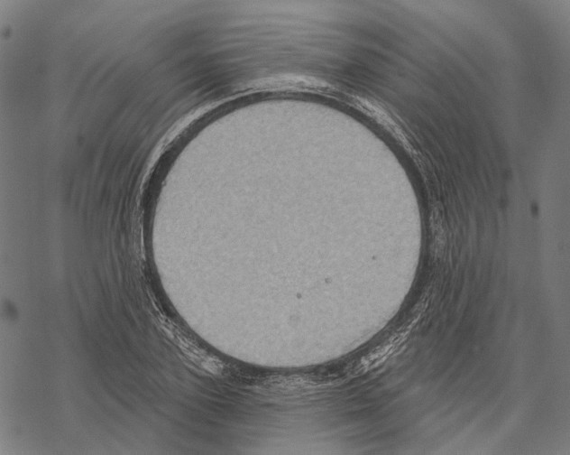 X0000067470931200605051643