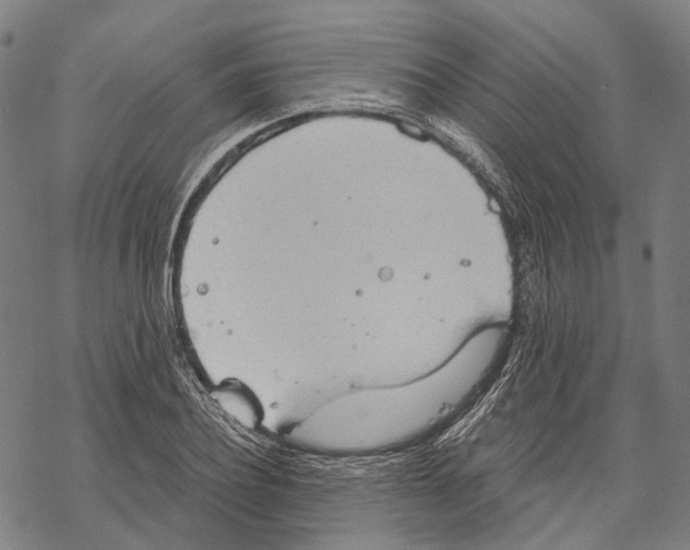 X0000067470932200605051643