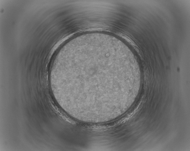 X0000067470933200605051643