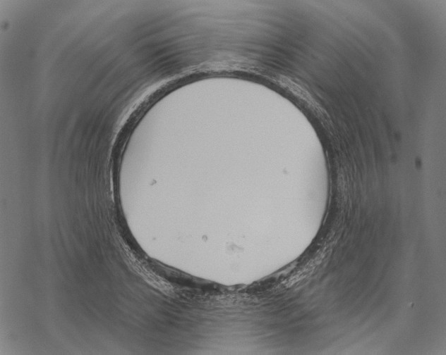 X0000067470934200605051643