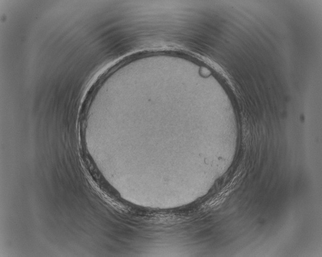 X0000067470935200605051643