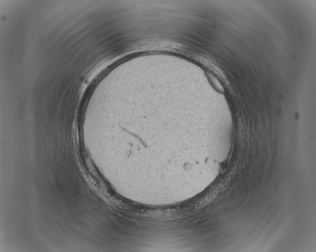 X0000067470936200605051643