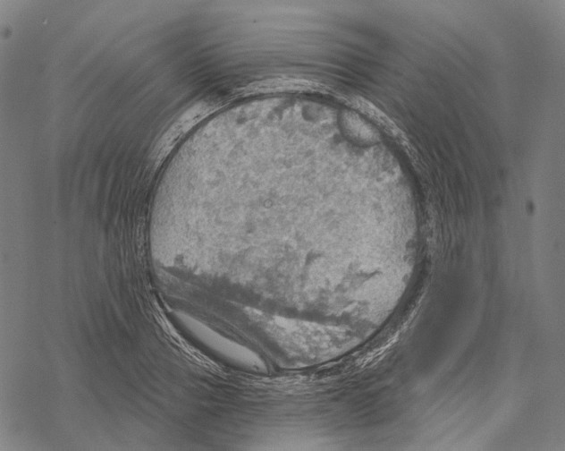 X0000067470937200605051643