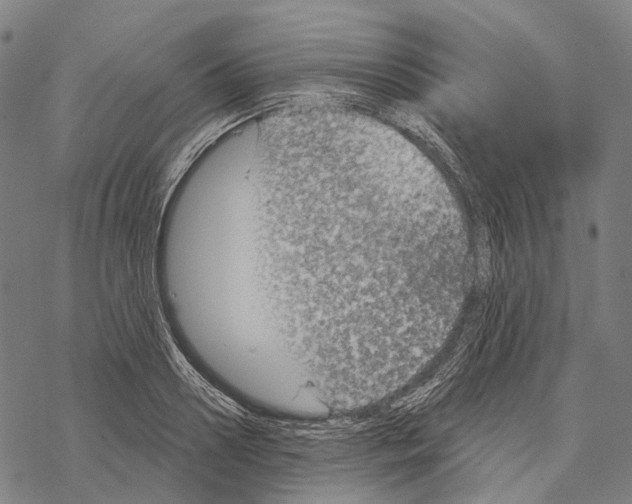 X0000067470938200605051643