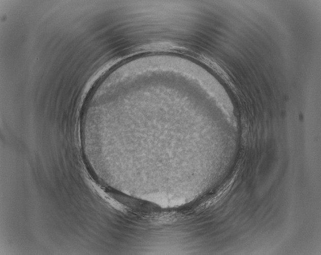 X0000067470939200605051643