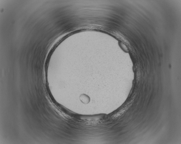 X0000067470940200605051643