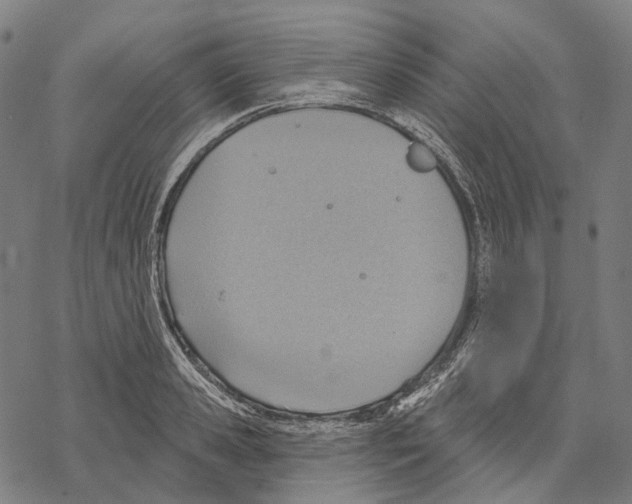 X0000067470941200605051643