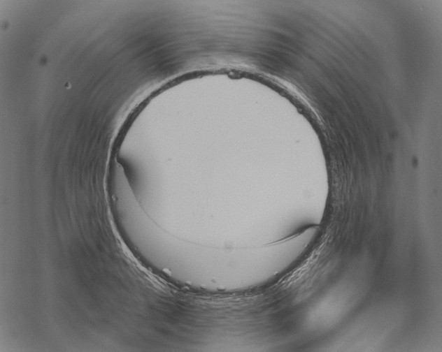 X0000067470943200605051643