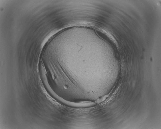 X0000067470944200605051643