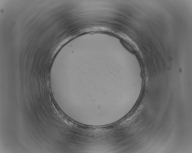 X0000067470945200605051643