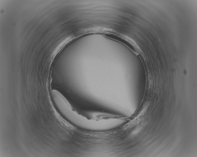 X0000067470946200605051643