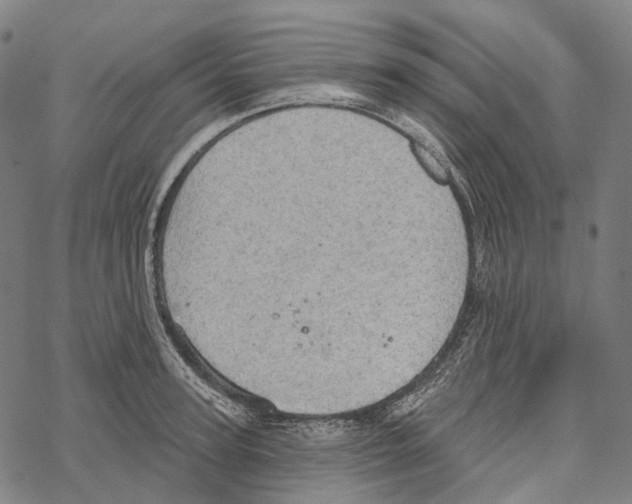 X0000067470947200605051643