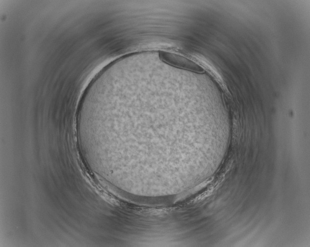 X0000067470948200605051643